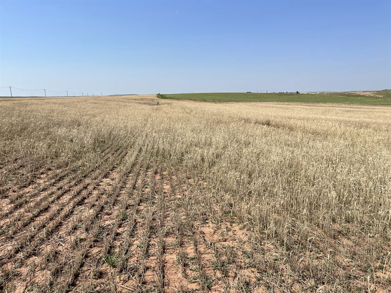 Farming, Hunting, Live Creek : Weatherford : Washita County : Oklahoma