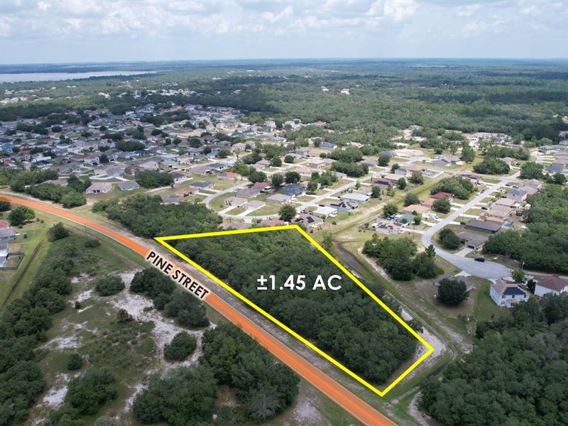 1.45 Acre Absolute Auction : Poicinana : Polk County : Florida