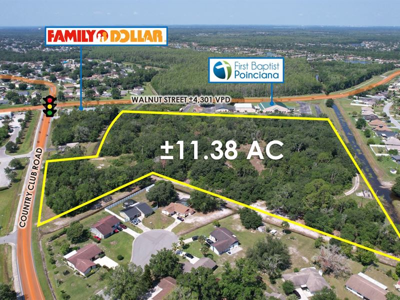 11.38 AC Absolute Auction : Poinciana : Polk County : Florida