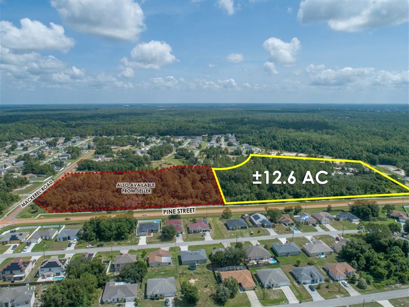 $1 Auction, 12.6 AC Orlando Msa : Poinciana : Polk County : Florida