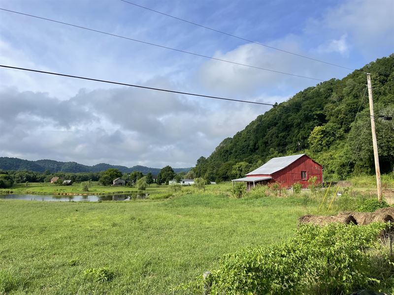 3.55+/- Acres : Celina : Clay County : Tennessee