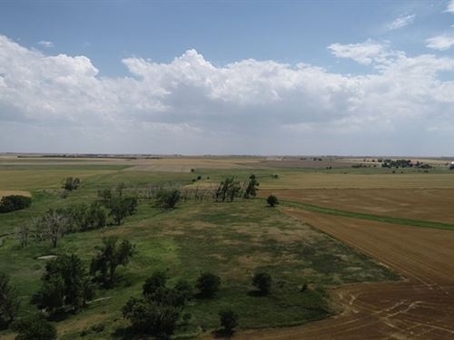 Rush County, Grass & Cultivation : Hays : Rush County : Kansas