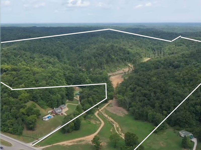 TN Hunting or Farmland for Auction : Mount Pleasant : Maury County : Tennessee