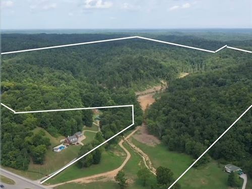 TN Hunting or Farmland for Auction : Mount Pleasant : Maury County : Tennessee