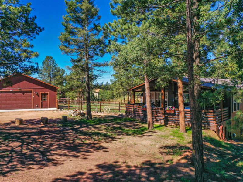 Colorado Mountain Home for Sale : Florissant : Teller County : Colorado
