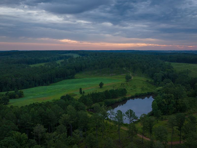 Pioneer Farms Pristine Timberland : Monticello : Jasper County : Georgia