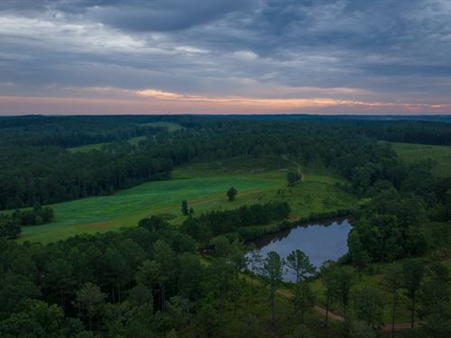 Pioneer Farms Pristine Timberland : Monticello : Jasper County : Georgia