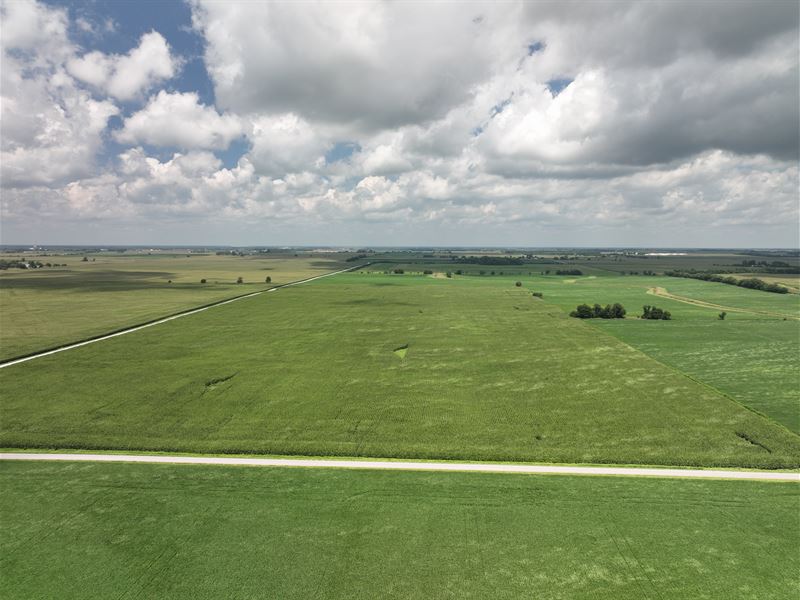Land Auction in Newton County, In : Brook : Newton County : Indiana