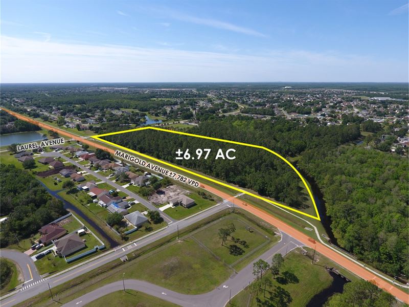 6.97 Ac, Absolute $1 Auction : Kissimmee : Osceola County : Florida
