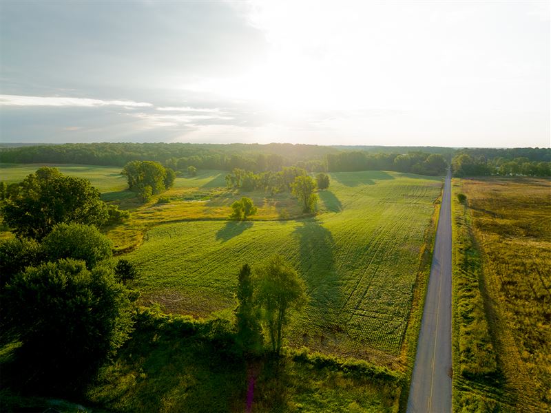 Land Auction in Noble County, In : Albion : Noble County : Indiana
