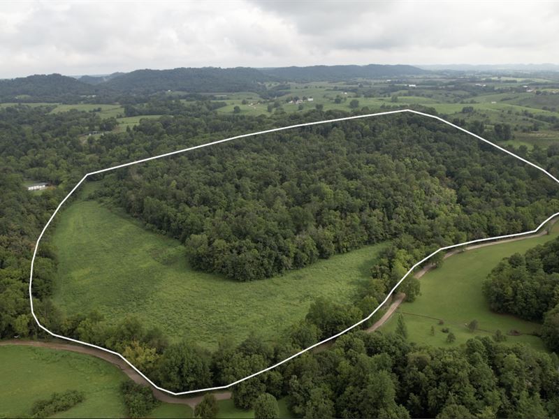 Vacant Land Offered in Two Tracts : Hustonville : Lincoln County : Kentucky
