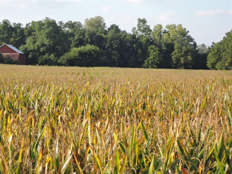 Land Auction in Wayne County, IN : Centerville : Wayne County : Indiana