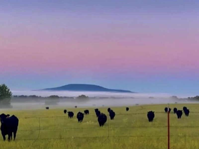 Outstanding OK Ranchland : Cameron : Le Flore County : Oklahoma