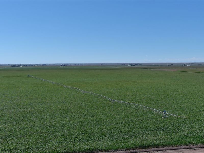 Snodgrass Irrigated Land Auction : Fort Morgan : Morgan County : Colorado