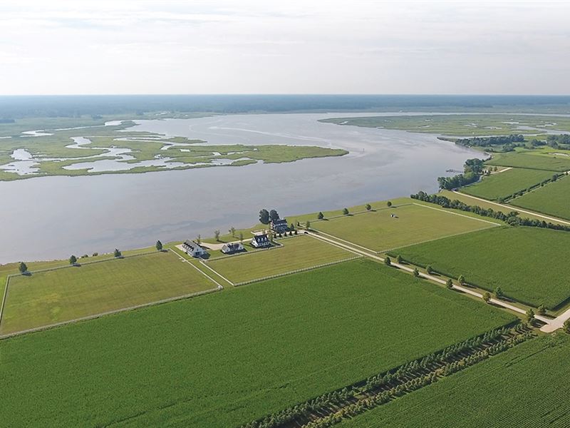 Steam Mill Farm, Eastern Maryland : Vienna : Dorchester County : Maryland