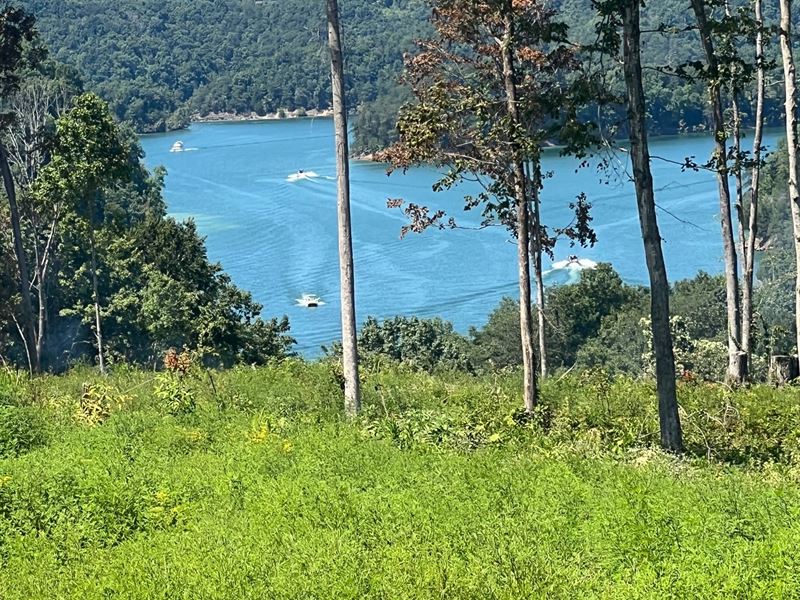106+/- Acres in Tracts : Monticello : Wayne County : Kentucky
