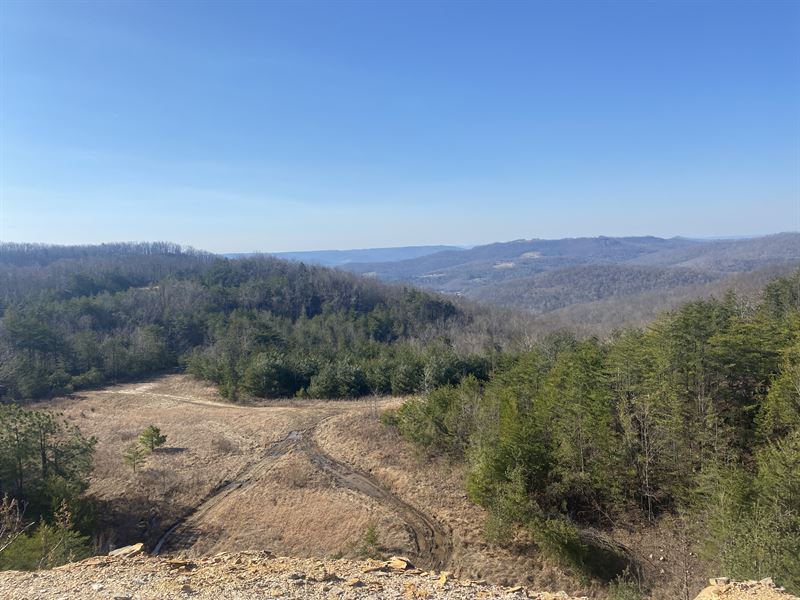 437+/- Acres : Albany : Clinton County : Kentucky