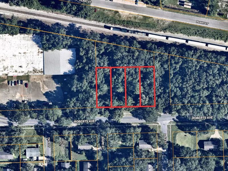 4 Beautiful Residential Lots : Tallahassee : Leon County : Florida