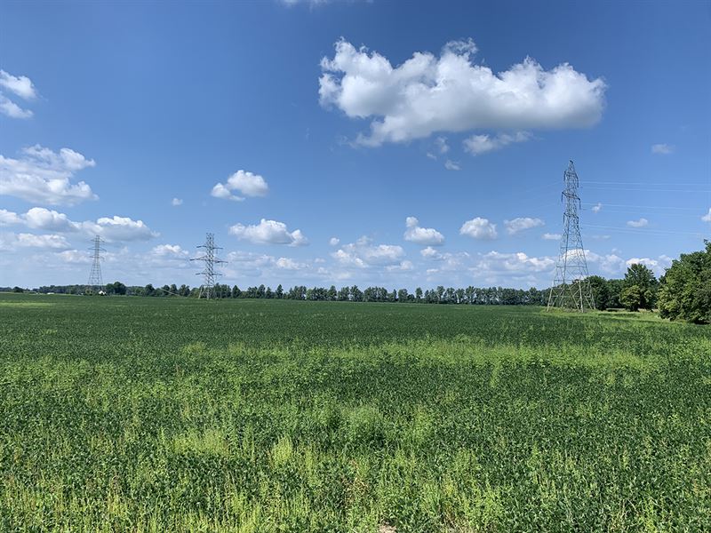 105 Acre Union County Grain Farm : Richwood : Union County : Ohio