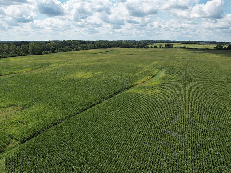 Madison County Grain Farm : London : Madison County : Ohio
