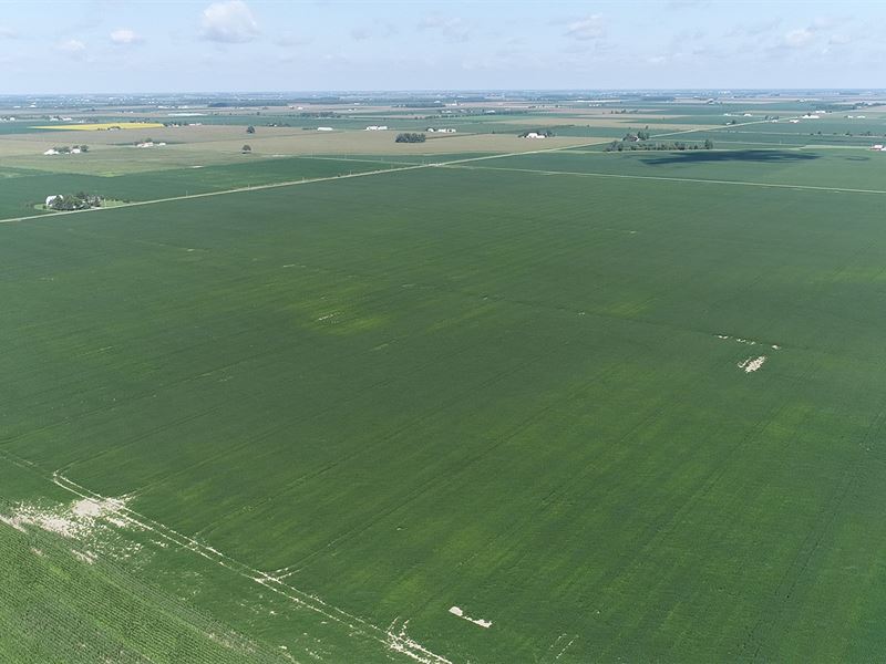 Land Auction, Wood County, Ohio : Deshler : Wood County : Ohio