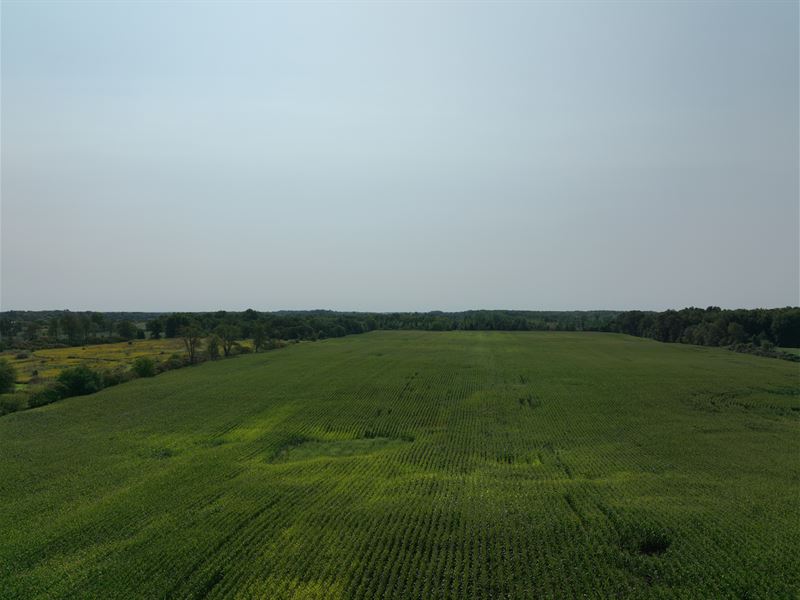 Land Auction in Steuben County, In : Angola : Steuben County : Indiana