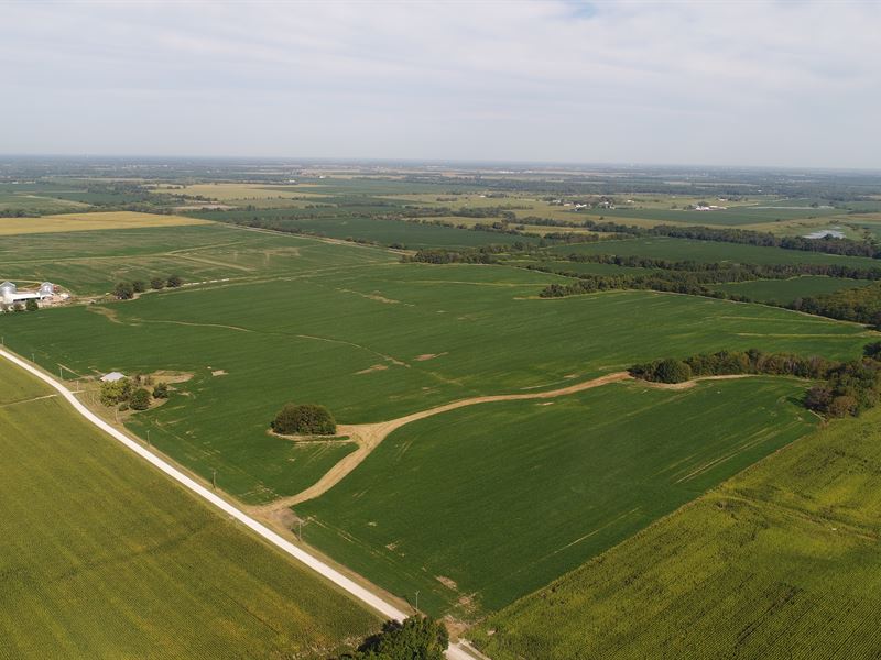 Audrain / Callaway County Auction : Hatton : Audrain County : Missouri
