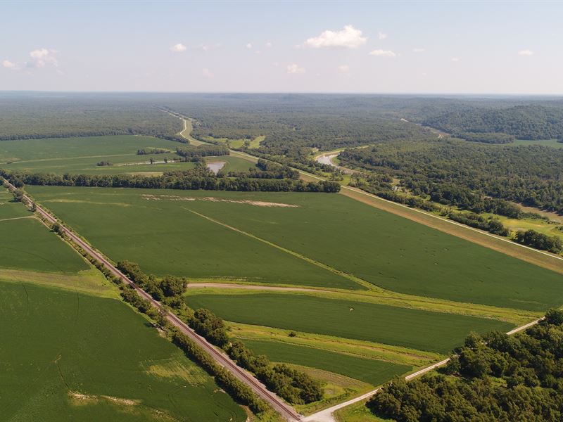 Jackson County, IL Farmland Auction : Grand Tower : Jackson County : Illinois