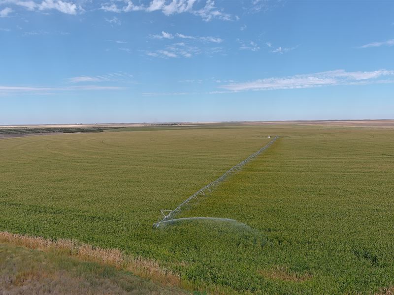 Scott Irrigated & Dryland Auction : Haxtun : Phillips County : Colorado