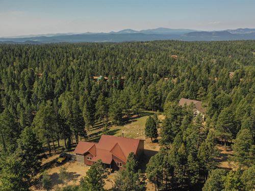 Custom Colorado Mountain Home : Divide : Teller County : Colorado