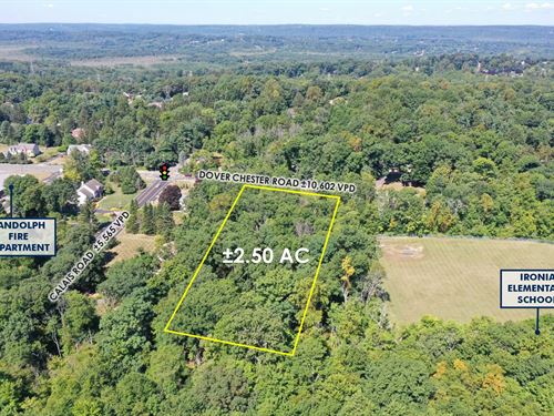 $1 Auction, 2.5 AC New York Msa : Randolph : Morris County : New Jersey