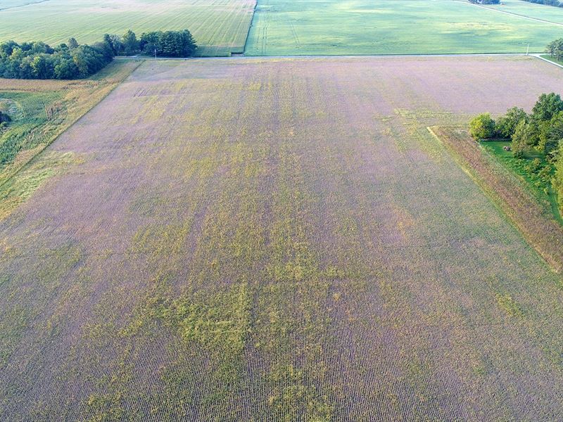 Clinton County Land Auction : Rossville : Clinton County : Indiana