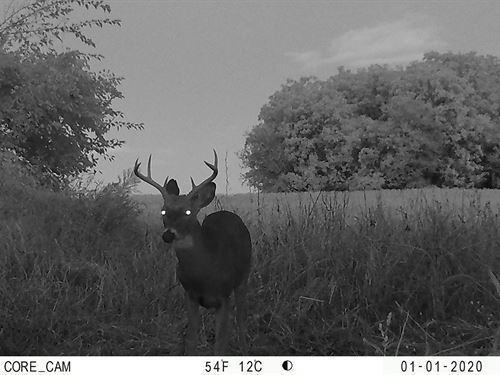 Noble County Land Auction : Tri-Lakes : Noble County : Indiana