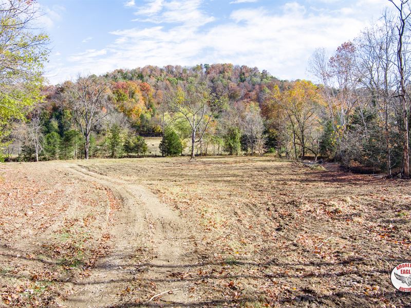 384+/- Acres : Albany : Clinton County : Kentucky