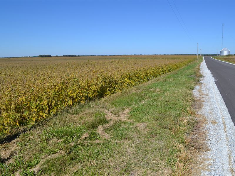 Jasper County Land Auction : Rensselaer : Jasper County : Indiana
