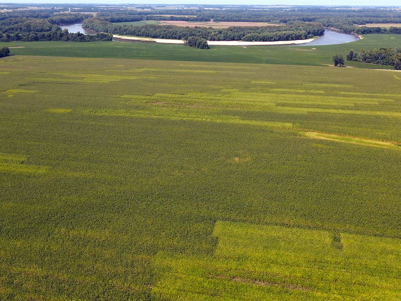 Pike County Land Auction : Petersburg : Pike County : Indiana