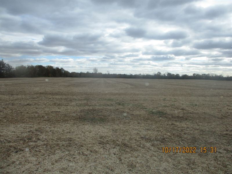 Hancock County Land Auction : Charlottesville : Hancock County : Indiana