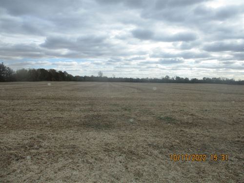 Hancock County Land Auction : Charlottesville : Hancock County : Indiana