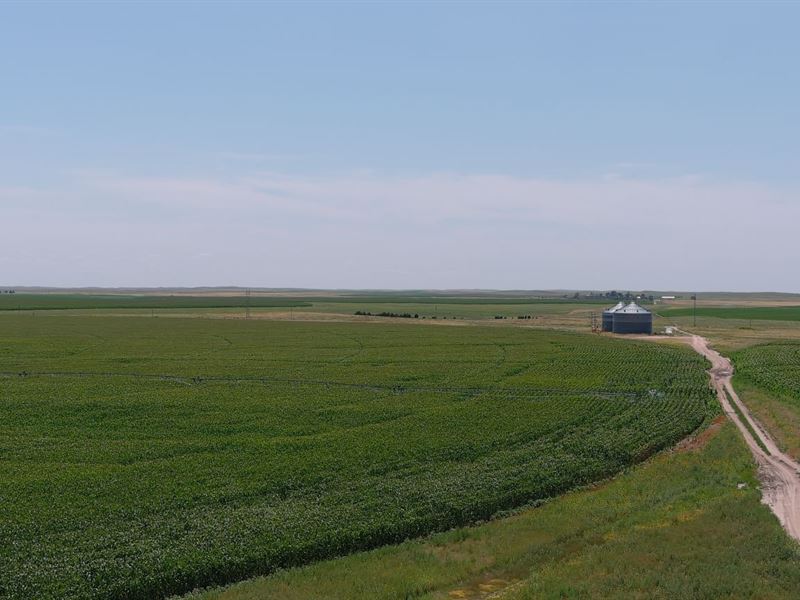 Elms Irrigated Farm Land Auction : Yuma : Yuma County : Colorado