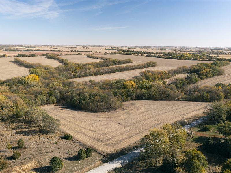 Cass County, NE Land Auction : Waverly : Cass County : Nebraska