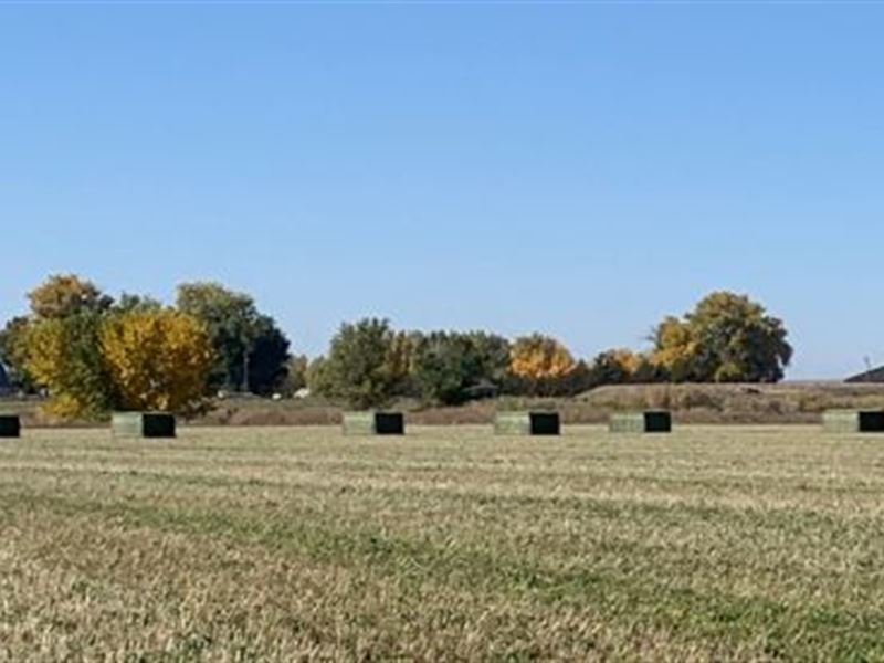 Riverside Irrigated Quarter : Fort Morgan : Morgan County : Colorado