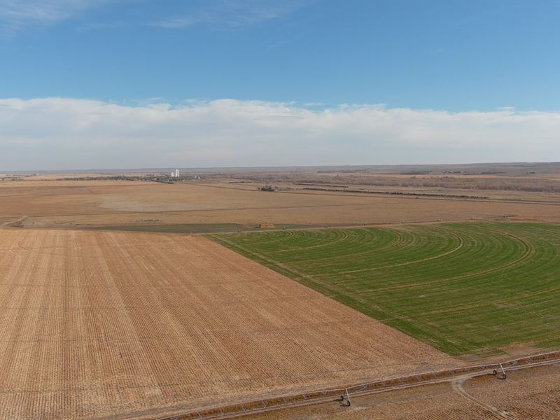 Beckman Land Auction : Ovid : Sedgwick County : Colorado