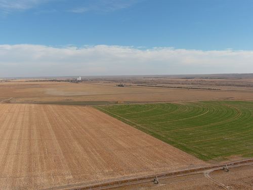 Beckman Land Auction : Ovid : Sedgwick County : Colorado