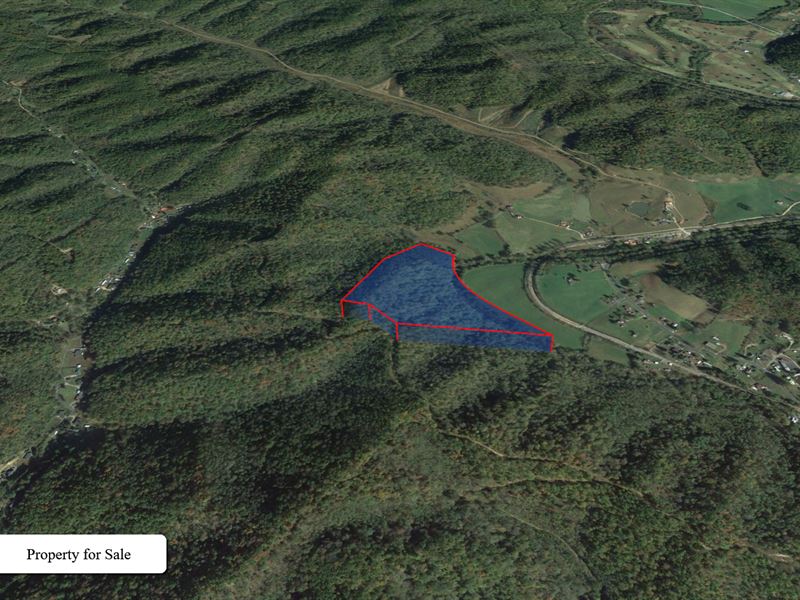 36 Acre Rough Diamond in Wyoming : Clear Fork : Wyoming County : West Virginia