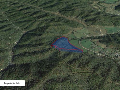 36 Acre Rough Diamond in Wyoming : Clear Fork : Wyoming County : West Virginia