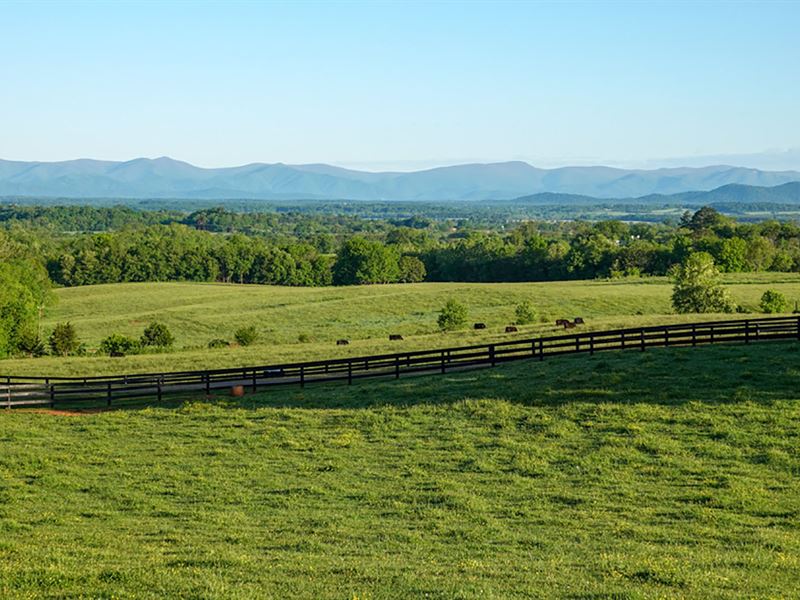 Outstanding Productive Farm in VA : Rapidan : Orange County : Virginia