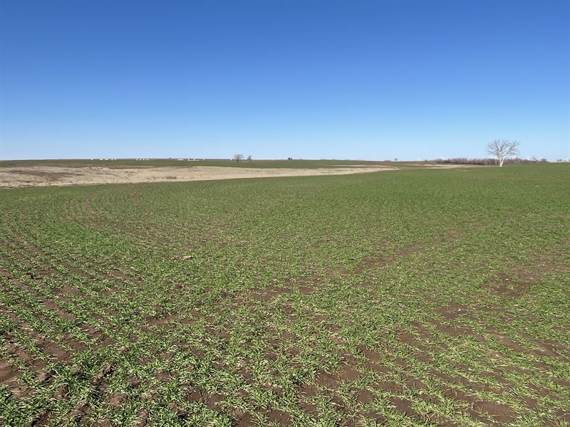 1,130 Ac, 5 Tracts, Multi Parcel : Arapaho : Dewey County : Oklahoma