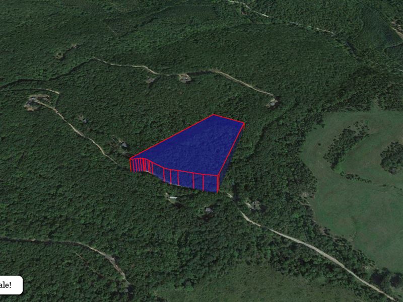 7.87 Acre Lot in Amherst County, VA : Madison Heights : Amherst County : Virginia