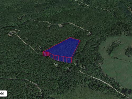 7.87 Acre Lot in Amherst County, VA : Madison Heights : Amherst County : Virginia