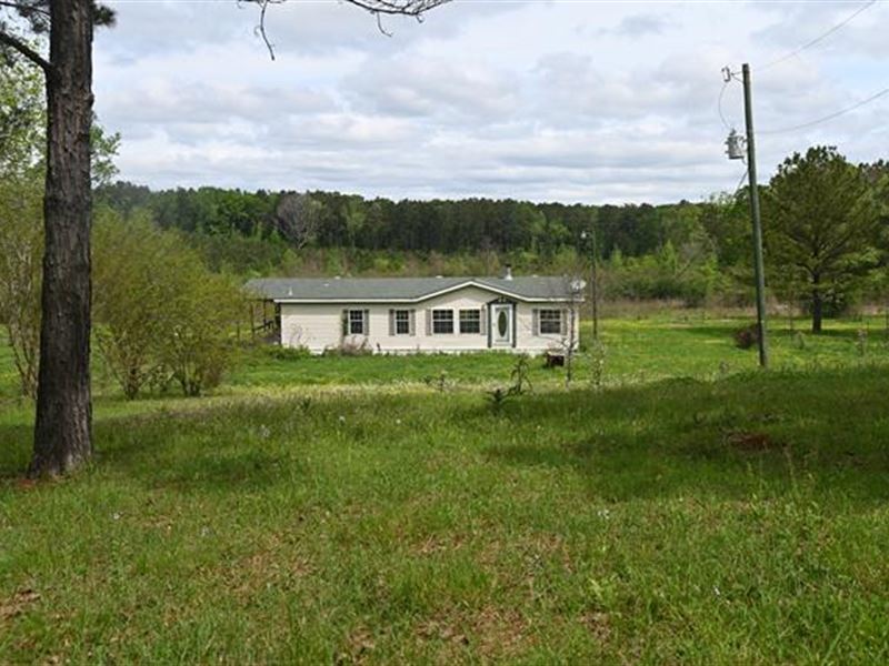 20 Ac in Many, LA : Many : Sabine Parish : Louisiana